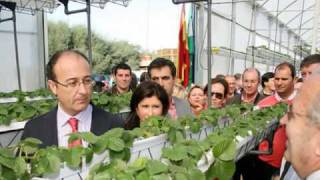 preview picture of video 'VISITA CONSEJERO AGRICULTURA A PALOS DE LA FRONTERA'