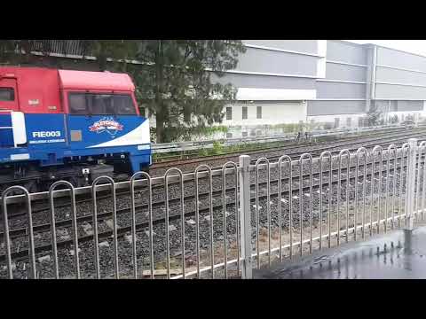 Adz Transport Vlogs - 8148 - FIE003, FIE002 and FIE001 at Marrickville