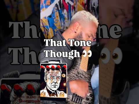 CELEBRITY PEDALS Chorustopher Wah-Ken (Chorus/Envelope Filter) image 5