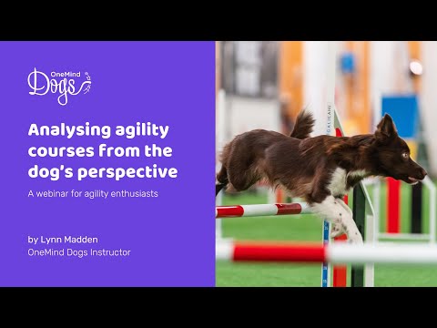 FREE Dog Agility Webinar: Analyzing agility courses from the dog’s perspective