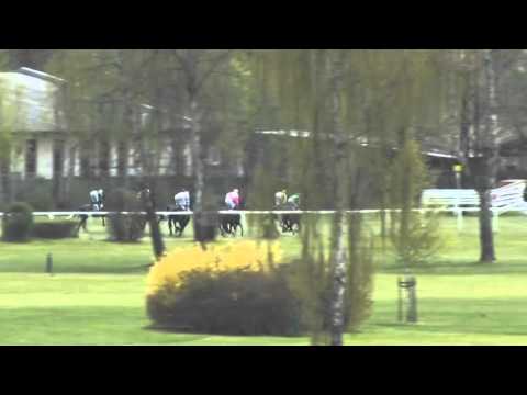 KV, 30. 4. 2016, 7. dostih - Dostih Karlovarského kraje - Karslbadbezirk Rennen