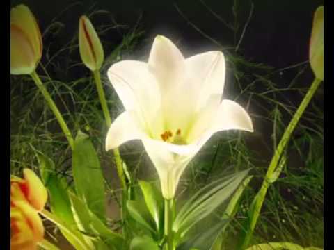 krásny Deň Vám všetkým... :D