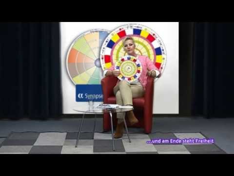 Einführung in die Alpha-Synapsen-Programmierung, 20.06.2013