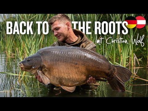 BACK TO THE ROOTS mit Christian Wolf | launische Karpfen am Baggersee | Laichzeit | Angeln Frühjahr