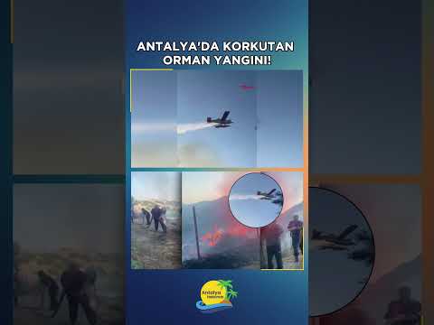 Antalya'da korkutan orman yangını!