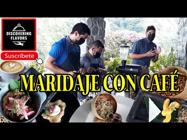 Vídeo relacionado con Taza de cerdo, tazas de café de animales, taza de café de cerdo, taza de café 3D, taza de café de cerámica rosa, taza de café de boca ancha, bonita taza de agua, tazas de café novedosas, tazas de té