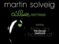 Martin Solveig - C'est la Vie Remixes 