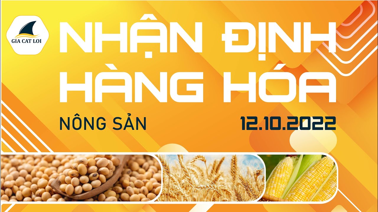 Nhận Định Thị Trường Nông Sản Ngày 12/10/2022