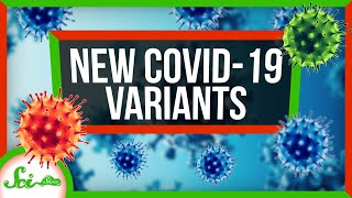 What's Up With Those COVID Variants? | SciShow News
