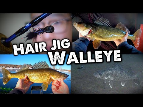 INSANE Walleye Bite with Tungsten Hair Jig in Shallow Water