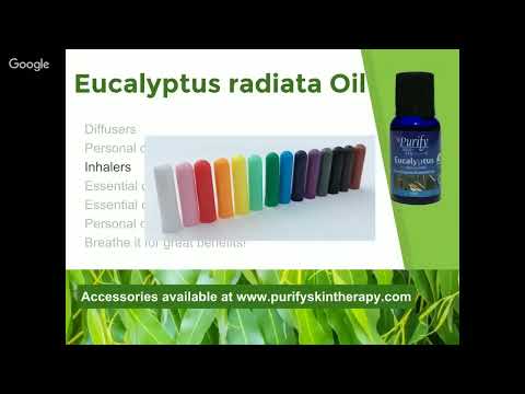 Liquid eucalyptus essential oil, for cosmetic, 1 x 10 ml