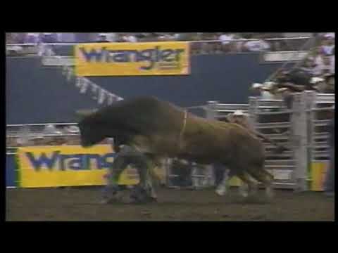 Wooly Bully bucks Lonnie Steverson - 96 PBR Nashville
