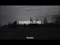 dandelions (Gustixa Remix)