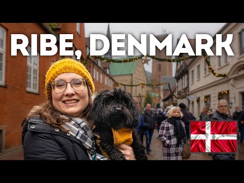 Ribe, Denmark at Christmas!