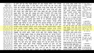 סוכה דף כח 1