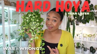 🥀10 Hard Hoya, One Year Later — Was I Wrong About Them? 🪴