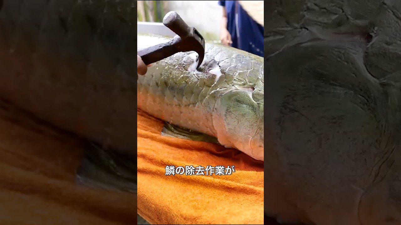 ハンマーが必要な魚