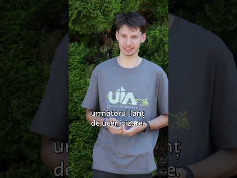 Lantul de Ucenicizare