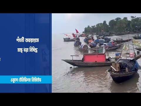 আজ থেকে ৬ জেলায় জাটকাসহ মাছ ধরা নিষেধ
