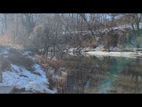 Virginia Trout Stock