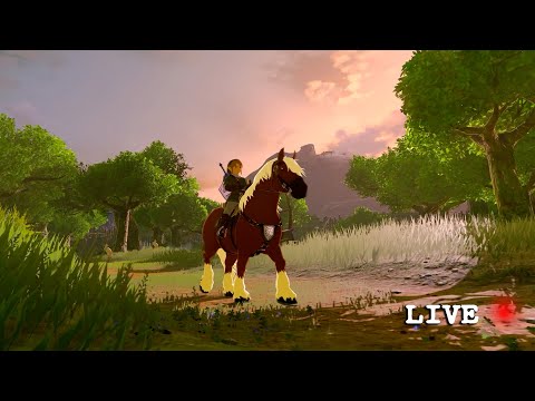 Link's Never Ending Journey 🧝 Zelda Music Radio 24/7⭐