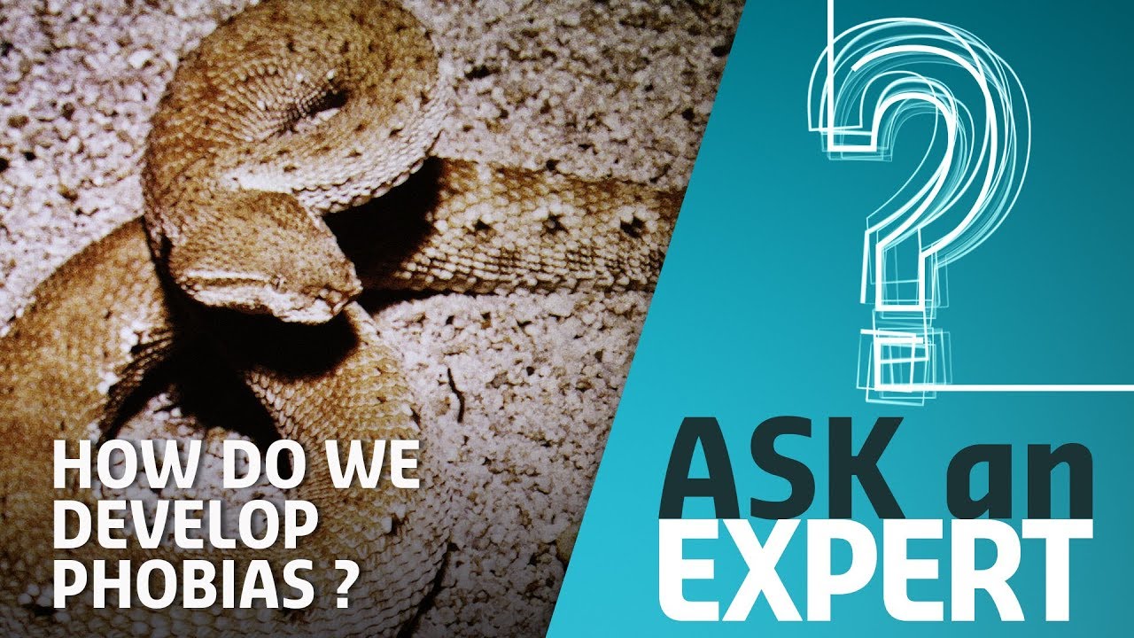 How Do We Develop Fears and Phobias? | Ask an Expert