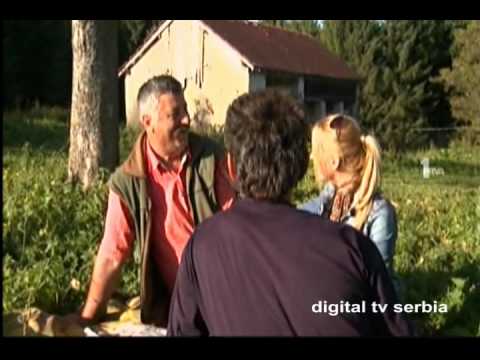 Prva promo - Domacine ozeni se