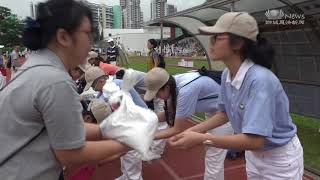 非一般运动会 不论输赢说人文