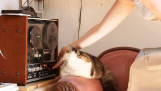 Socalled Sleepover on my Reel to Reel at 7 1/2ips