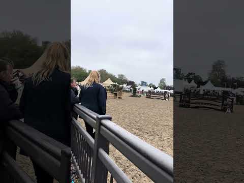 Brynithon Goldrush Royal Windsor 2023 M&M WHP 143cm (with offset combination jumps)