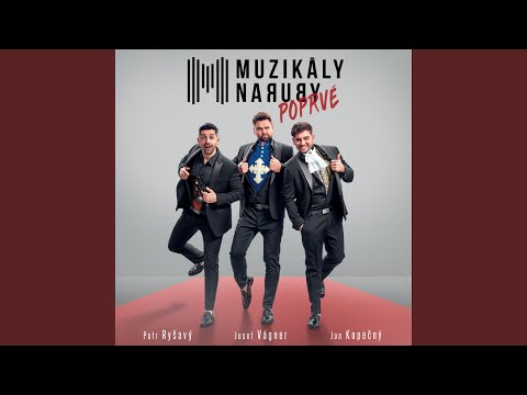 Snad měl bych jít (feat. Jan Kopečný, Josef Vagner & Petr Ryšavý)