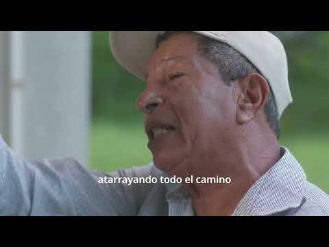 Estímulos 2024 | Cuentos de Pesca: pescadores y su economía popular en la Ciénaga de la Caimanera