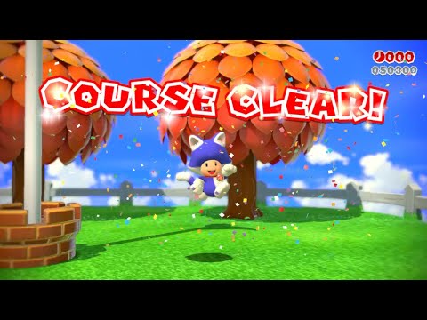 SM3DW (Switch) 10-4 100% Speedrun | Time: 18 (Former WR)