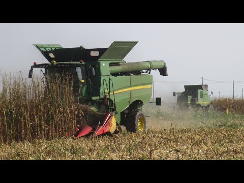 Hailed Corn Harvest - John Deere S680i & CTS 9780i