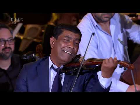 Taraf de Caliu live at The Czech Philharmonic (2)