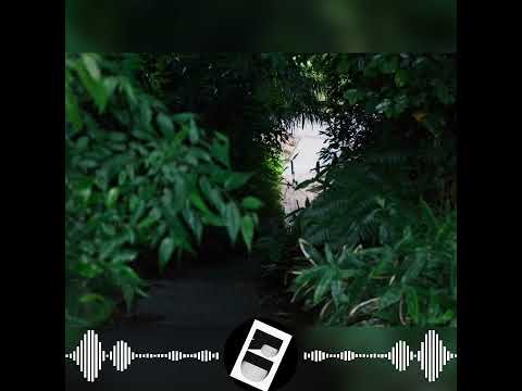 Heart&Soul jordigan (No copyright music)