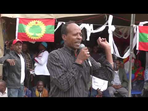 Oromo TV Finfinne