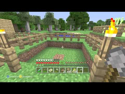 Minecraft Co-op Survival: Episode 11: The ZOO!!