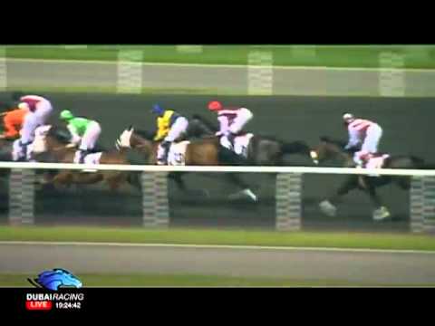31.12.2011 Meydan (Dubai UAE) 5.Race Al Basti Equiworld - Hygain Trophy - Handicap 1.900 m