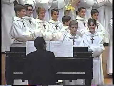 Duet kotów