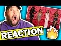 Pitbull, Fifth Harmony - Por Favor (Music Video) REACTION Pitbull, Fifth Harmony - Por Favor (Music Video) REACTION