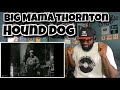 Big Mama Thornton - Hound Dog and Down Home Shakedown | REACTION