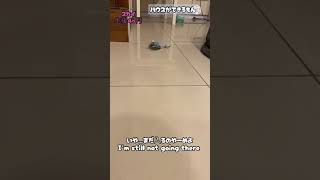セキセイインコが【ハウス】を覚えたよ！Parakeet learned the command