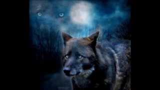 Motörhead In The Year Of The Wolf