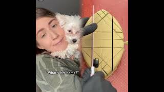 Download lagu Introducing the newest member of our family. Josie! mp3