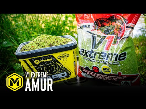V1 CARP - Amur