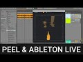 Video 2: PEEL: Using separate outputs with Ableton Live