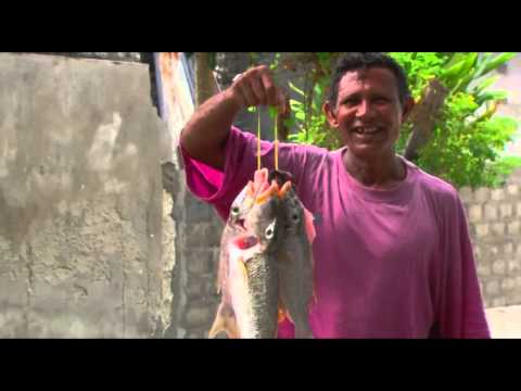 Minivan Ufaa #Minivan50