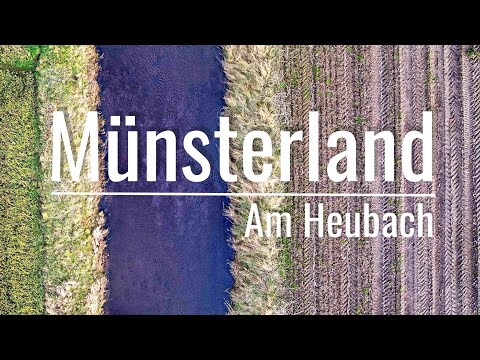 Münsterland - Am Ufer des Heubachs
