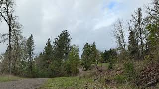 Wild Iris Ridge from Bailey Hill Rd Timelapse - Full Loop 3.5 miles - March 23rd 2025 - Eugene, OR